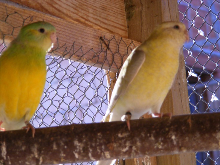 DSCF0369.jpg