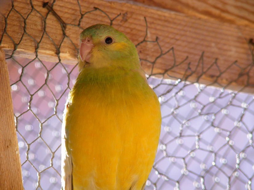 DSCF0370.jpg