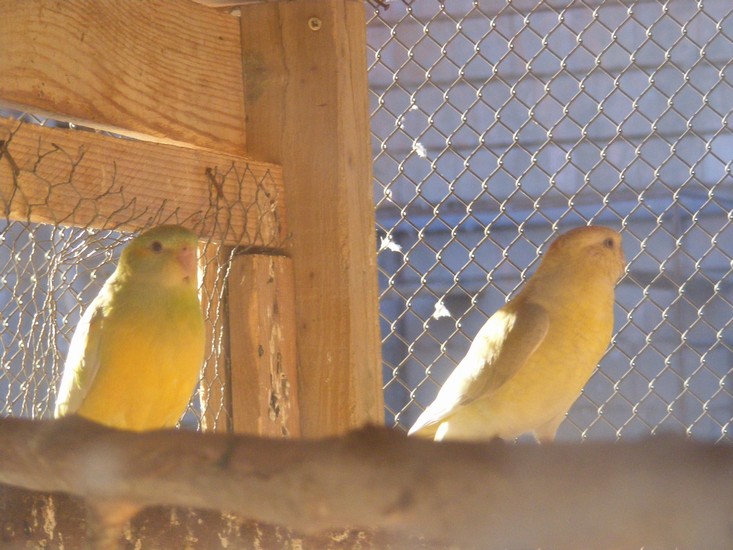 DSCF0373.jpg